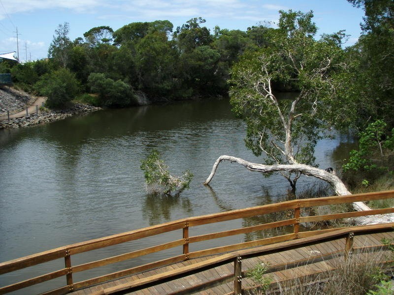 10 Brushwood Street, Currimundi QLD 4551