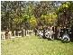 59 Bendena Terrace, Carina Heights QLD 4152