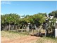 55 Carey Street, Carnarvon WA 6701