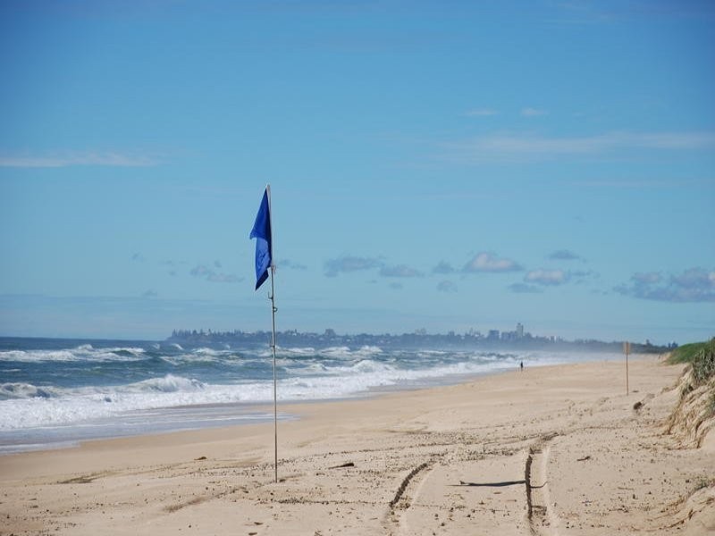 40 Lowanna Street, Buddina QLD 4575