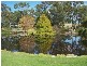 90 Nicholson Road, Stanthorpe QLD 4380