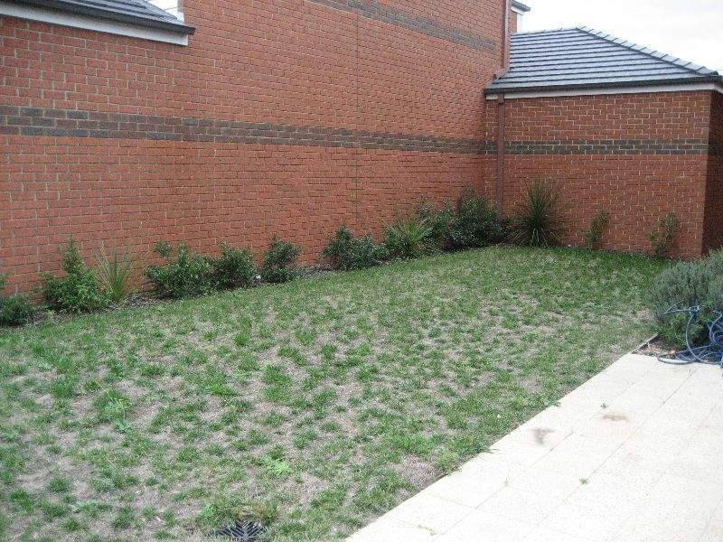 3 Amber Close, Springvale South VIC 3172