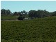 Edilillie Springfarm Road, Clare SA 5453