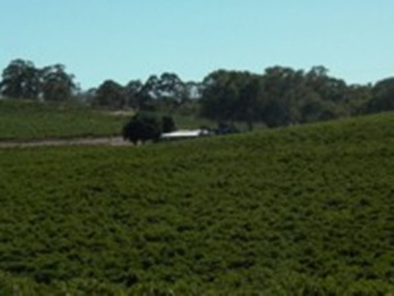 Edilillie Springfarm Road, Clare SA 5453