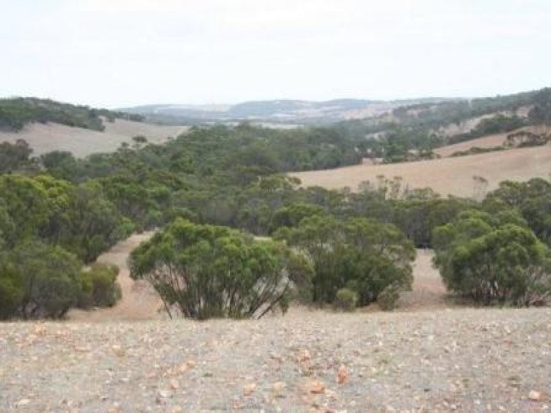 Pt Sec 346 Hundred of Mann, Cleve SA 5640