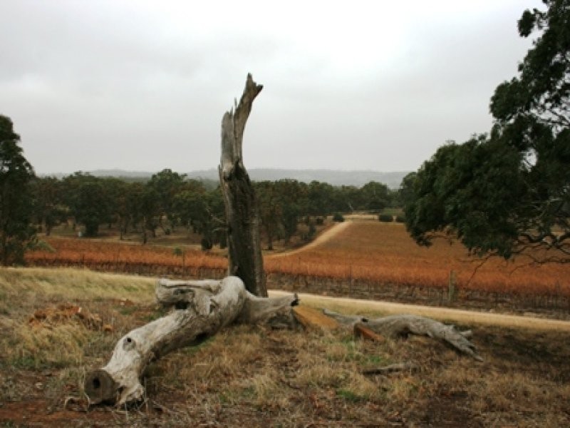 Lot 100 Springfarm Road, Clare SA 5453