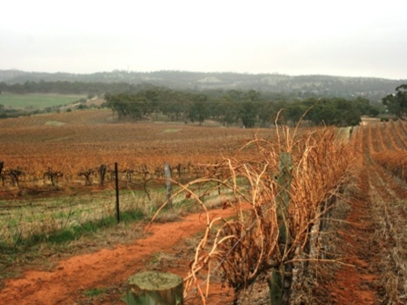 Lot 100 Springfarm Road, Clare SA 5453