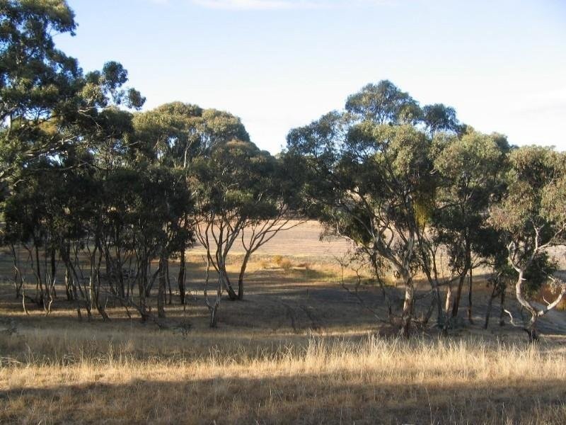 Lot 46 Norman Drive, Clare SA 5453