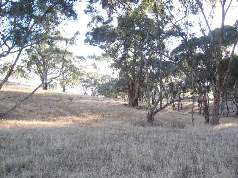 Lot 46 Norman Drive, Clare SA 5453