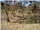 Lot 45 Norman Drive, Clare SA 5453