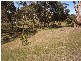 Lot 45 Norman Drive, Clare SA 5453