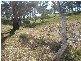 Lot 45 Norman Drive, Clare SA 5453