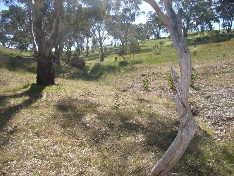 Lot 45 Norman Drive, Clare SA 5453