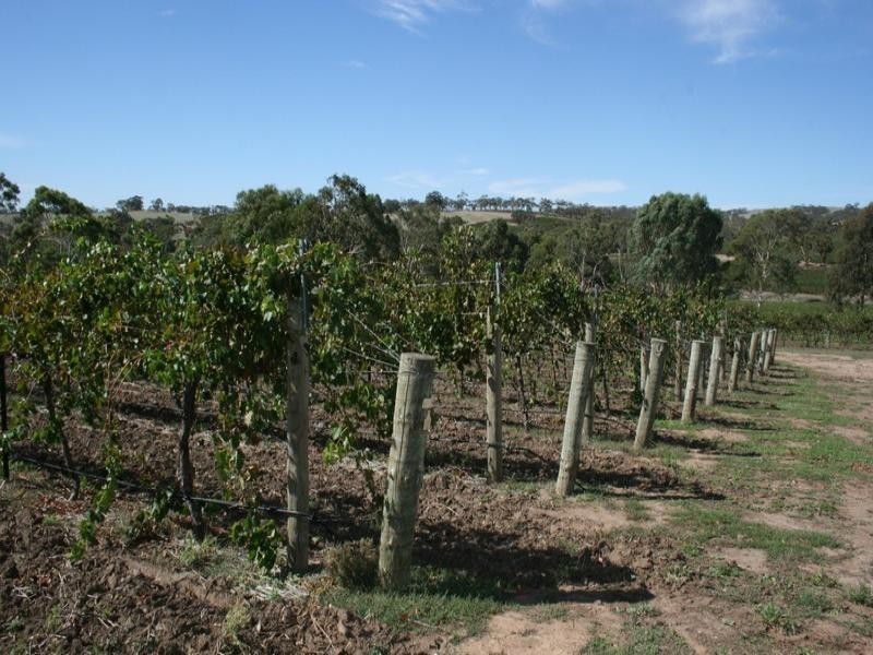 11 Jarman Crescent, Clare SA 5453