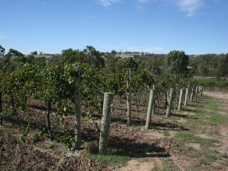 11 Jarman Crescent, Clare SA 5453