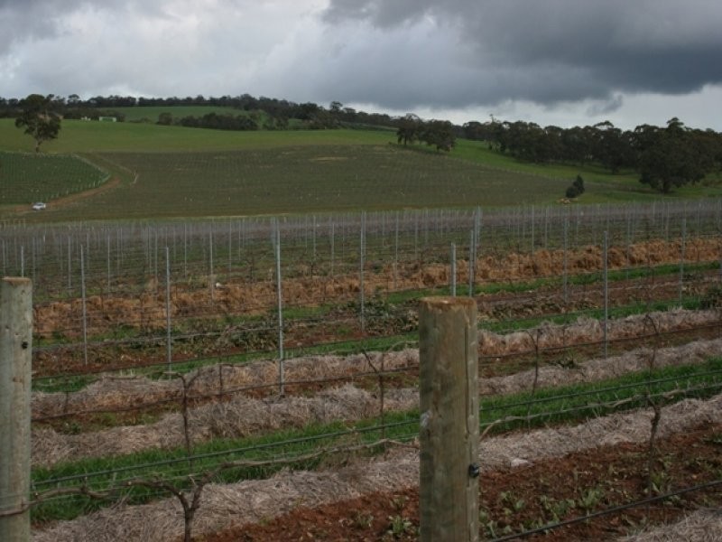 Lot 91 Lamkins Road, Auburn SA 5451