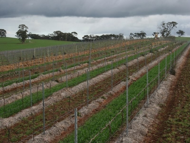 Lot 91 Lamkins Road, Auburn SA 5451