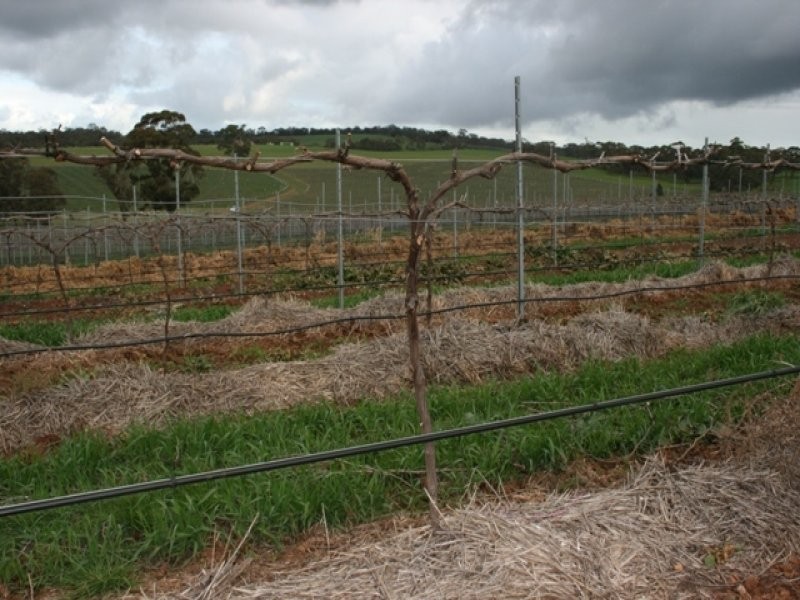 Lot 91 Lamkins Road, Auburn SA 5451