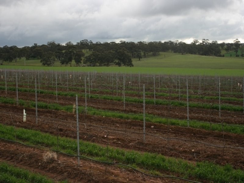 Lot 91 Lamkins Road, Auburn SA 5451