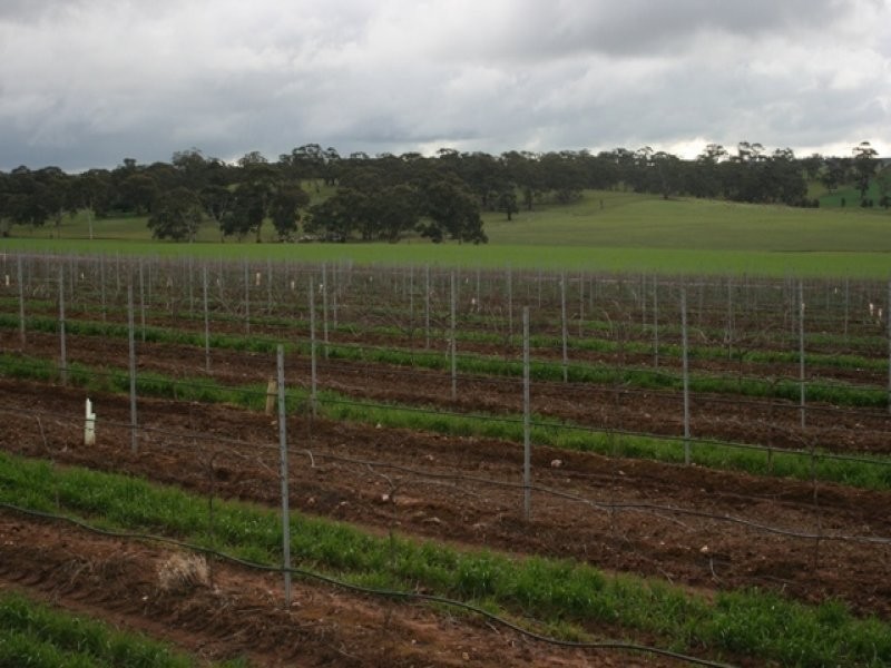 Lot 91 Lamkins Road, Auburn SA 5451