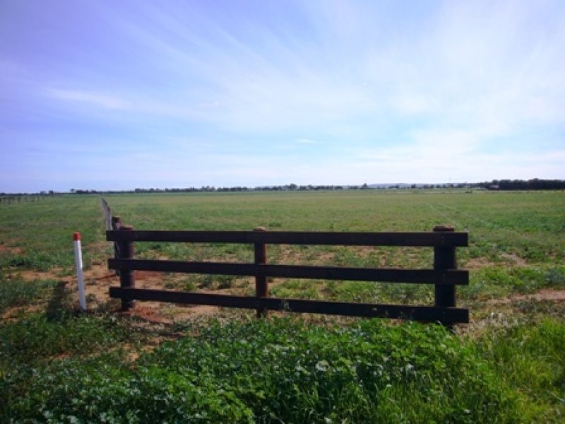 Lots @ Racecourse Road, Balaklava SA 5461