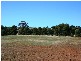 LOT 8 EAST TERRACE, Farrell Flat SA 5416