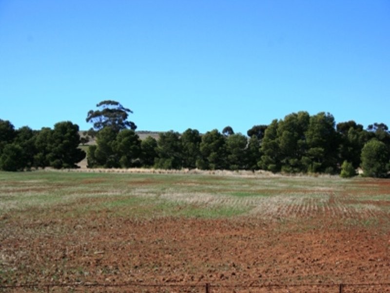 LOT 8 EAST TERRACE, Farrell Flat SA 5416