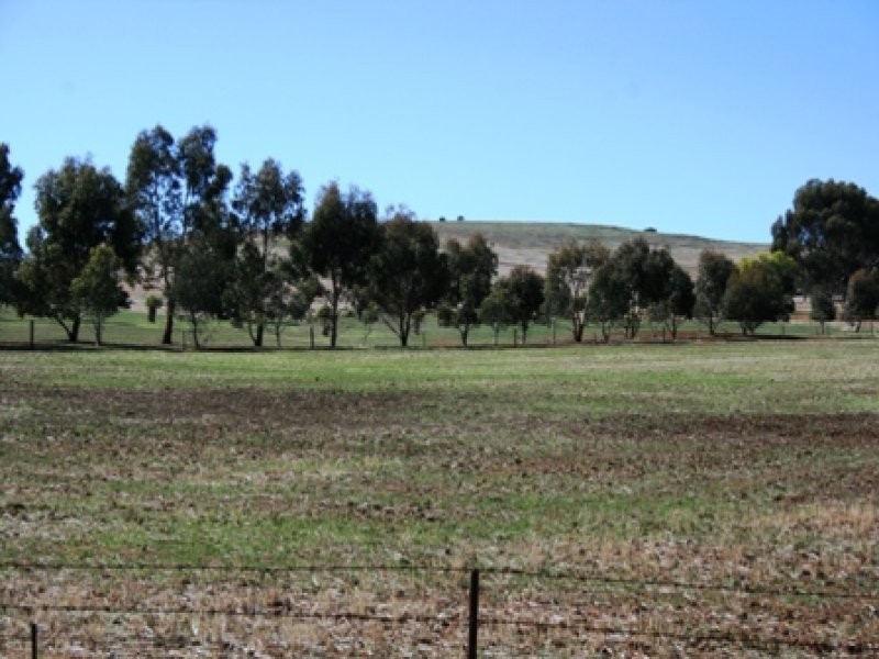 LOT 8 EAST TERRACE, Farrell Flat SA 5416
