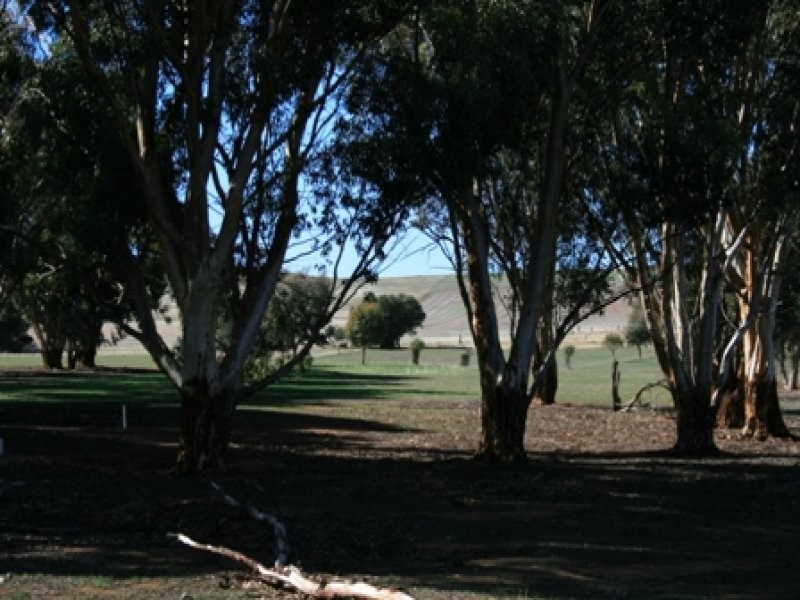 LOT 11 EAST TERRACE, Farrell Flat SA 5416