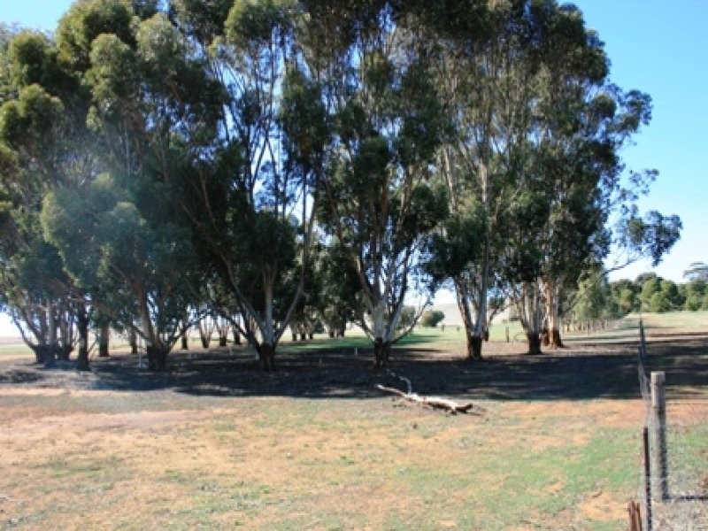 LOT 11 EAST TERRACE, Farrell Flat SA 5416