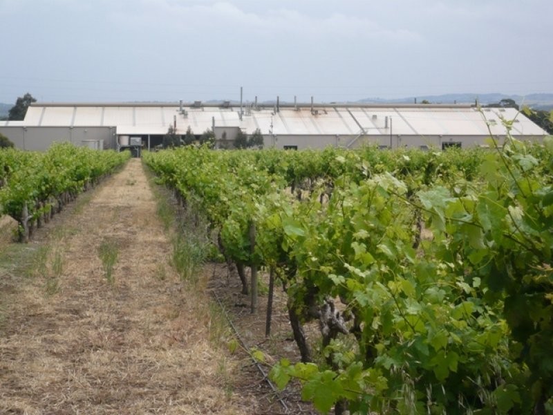 Lot 12 Crennis Mines Road, Angaston SA 5353