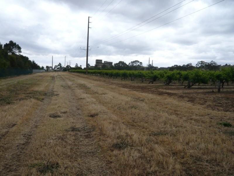 Lot 12 Crennis Mines Road, Angaston SA 5353