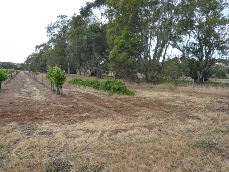 Lot 12 Crennis Mines Road, Angaston SA 5353