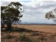 Sec 224 Kimba Road, Cowell SA 5602