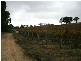 Lot 100 Springfarm Road, Clare SA 5453