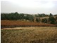 Lot 100 Springfarm Road, Clare SA 5453