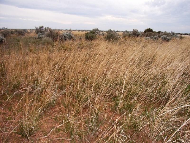 Secs on Pipeline Road, Robertstown SA 5381