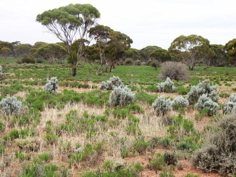 Secs on Pipeline Road, Robertstown SA 5381