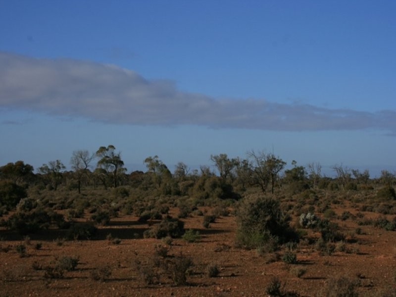 Secs on Pipeline Road, Robertstown SA 5381