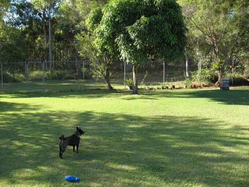 316 Finucane Road, Alexandra Hills QLD 4161