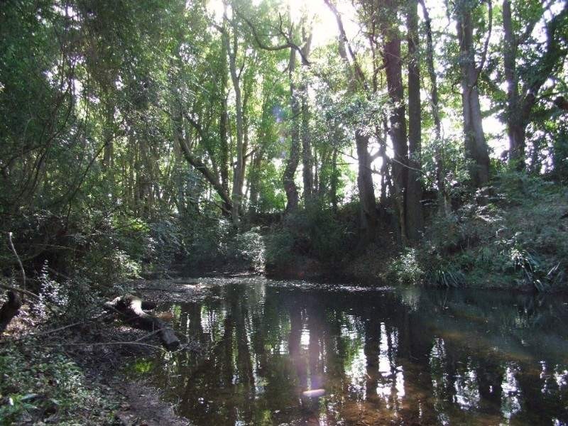 979 Orara Way, Nana Glen NSW 2450