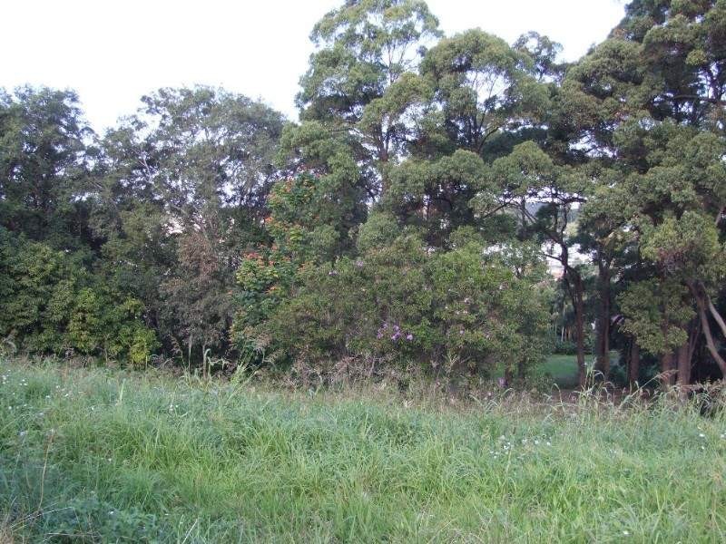 7 Hives Close, Coffs Harbour NSW 2450