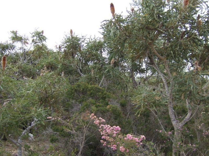 20 Wren Way, Jurien Bay WA 6516