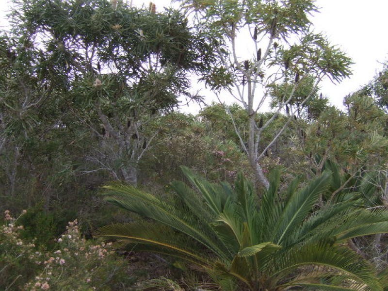 20 Wren Way, Jurien Bay WA 6516