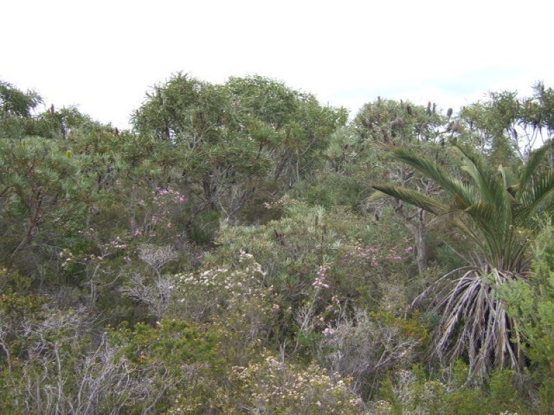 20 Wren Way, Jurien Bay WA 6516