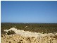 Lot 216 Ridge Way, Jurien Bay WA 6516