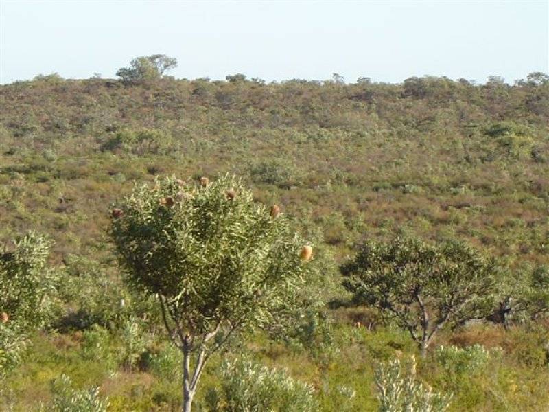Lot 296 Sulina Crescent, Jurien Bay WA 6516
