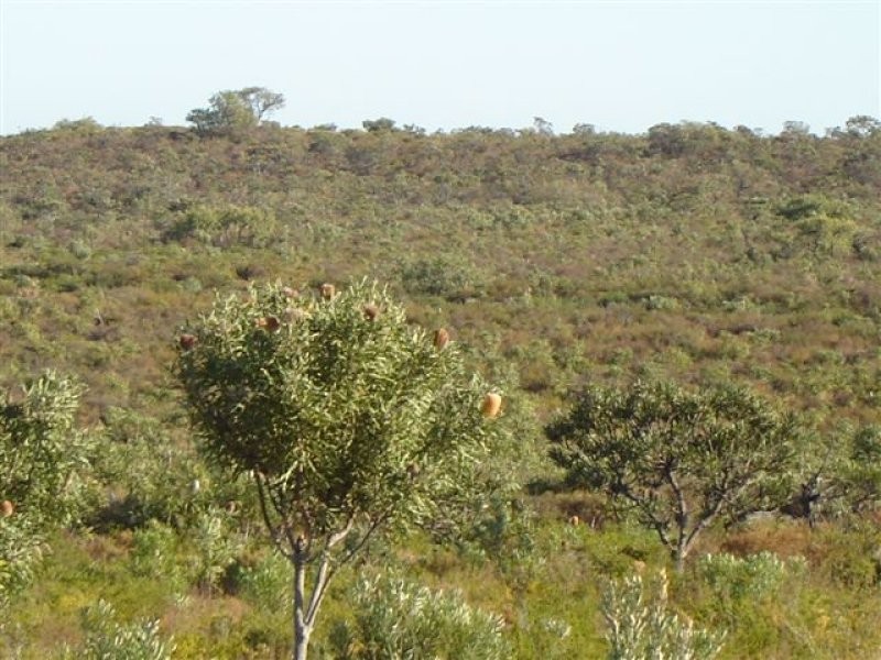 Lot 296 Sulina Crescent, Jurien Bay WA 6516