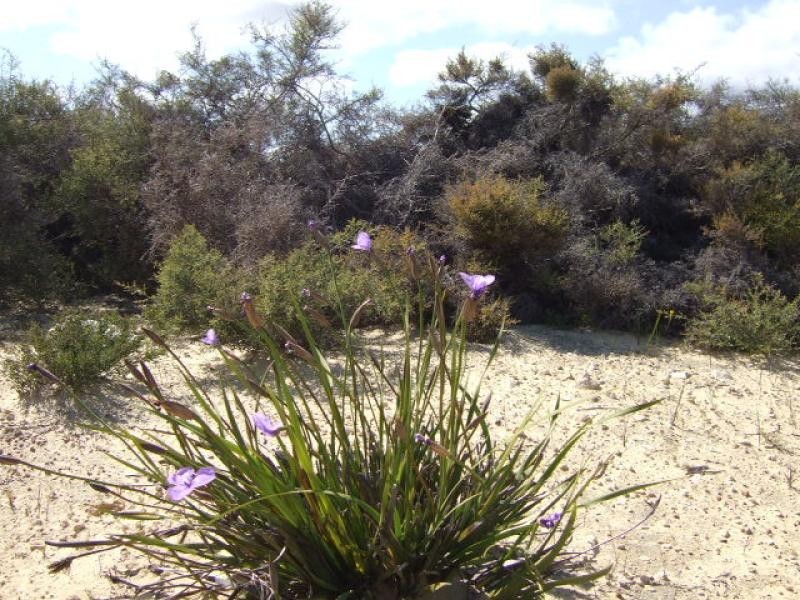 Lot 105 Jurien Bay Vista, Jurien Bay WA 6516