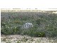 Lot 192 Jurien Bay Vista, Jurien Bay WA 6516